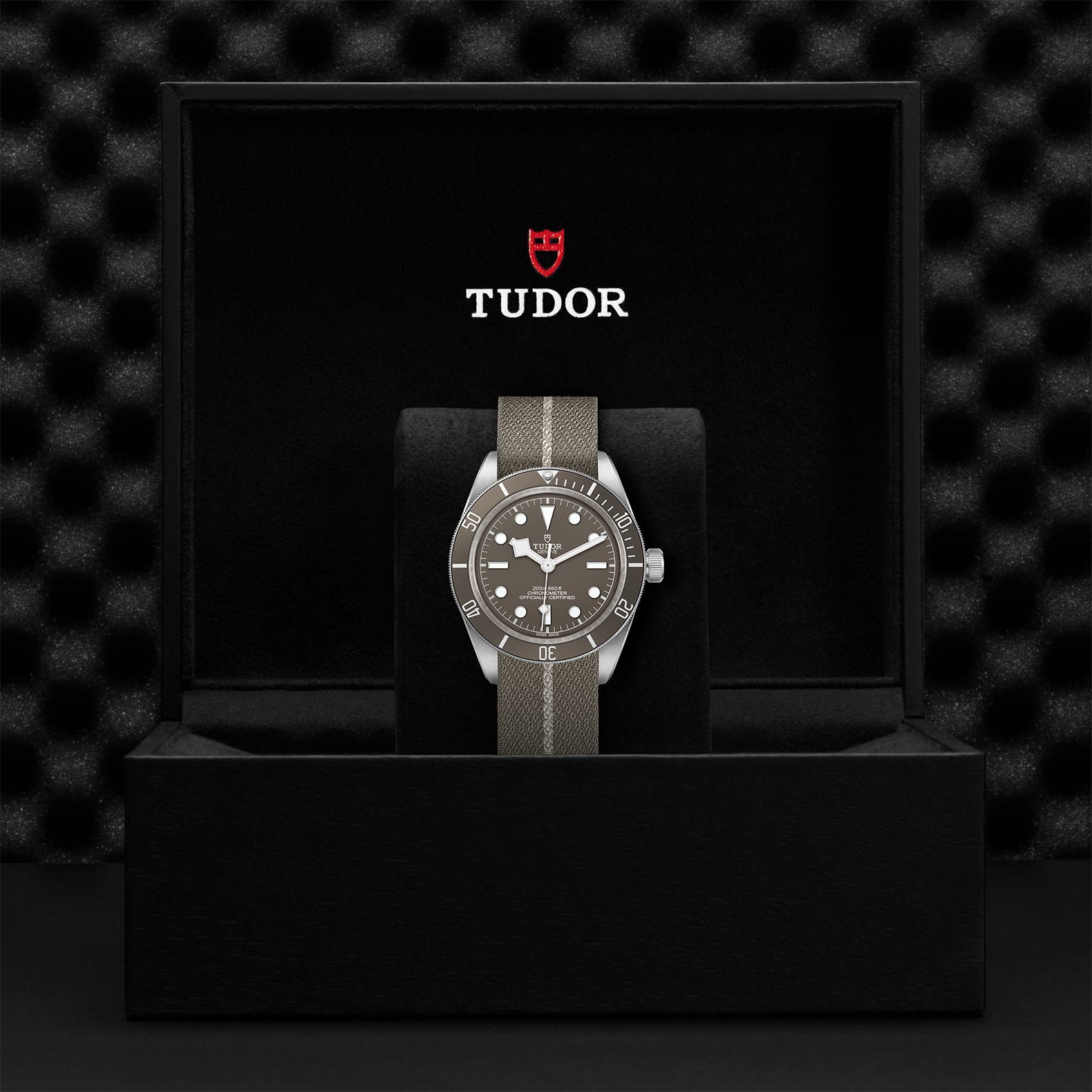 TUDOR Black Bay Fifty-Eight 925 39mm Silver - Image 2