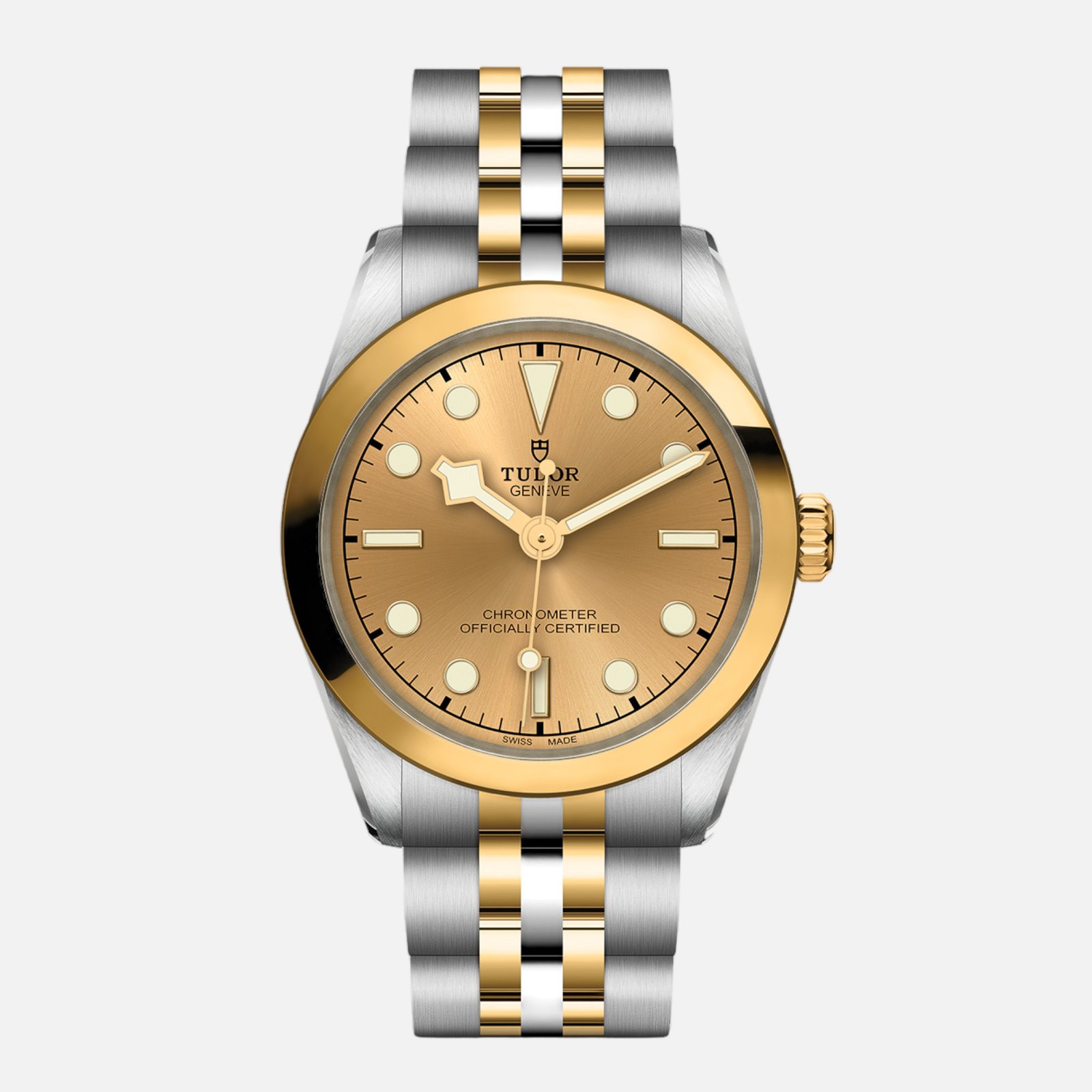 TUDOR Black Bay 31 S&G M79603-0005