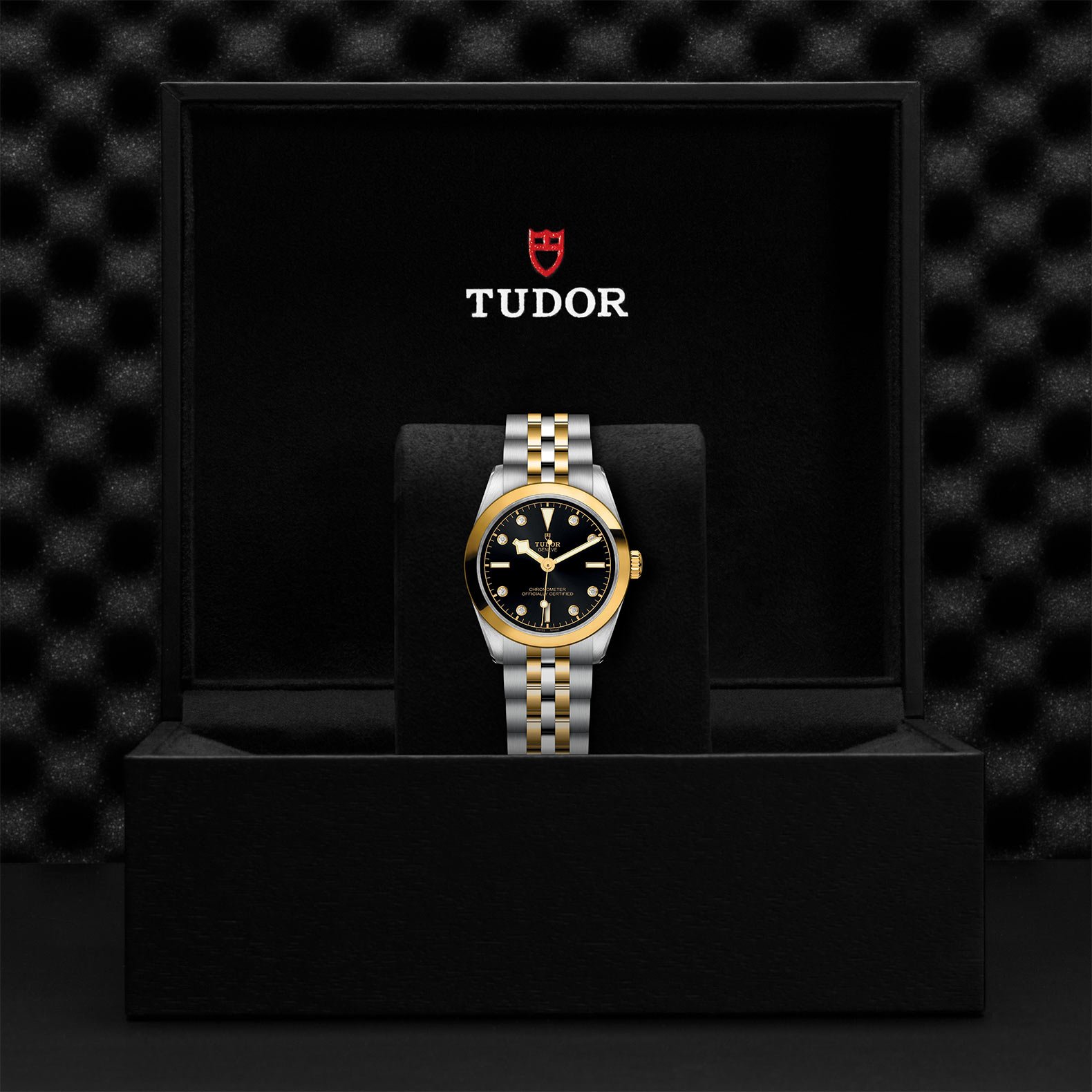 TUDOR Black Bay 31 S&G M79603-0006 - Image 2