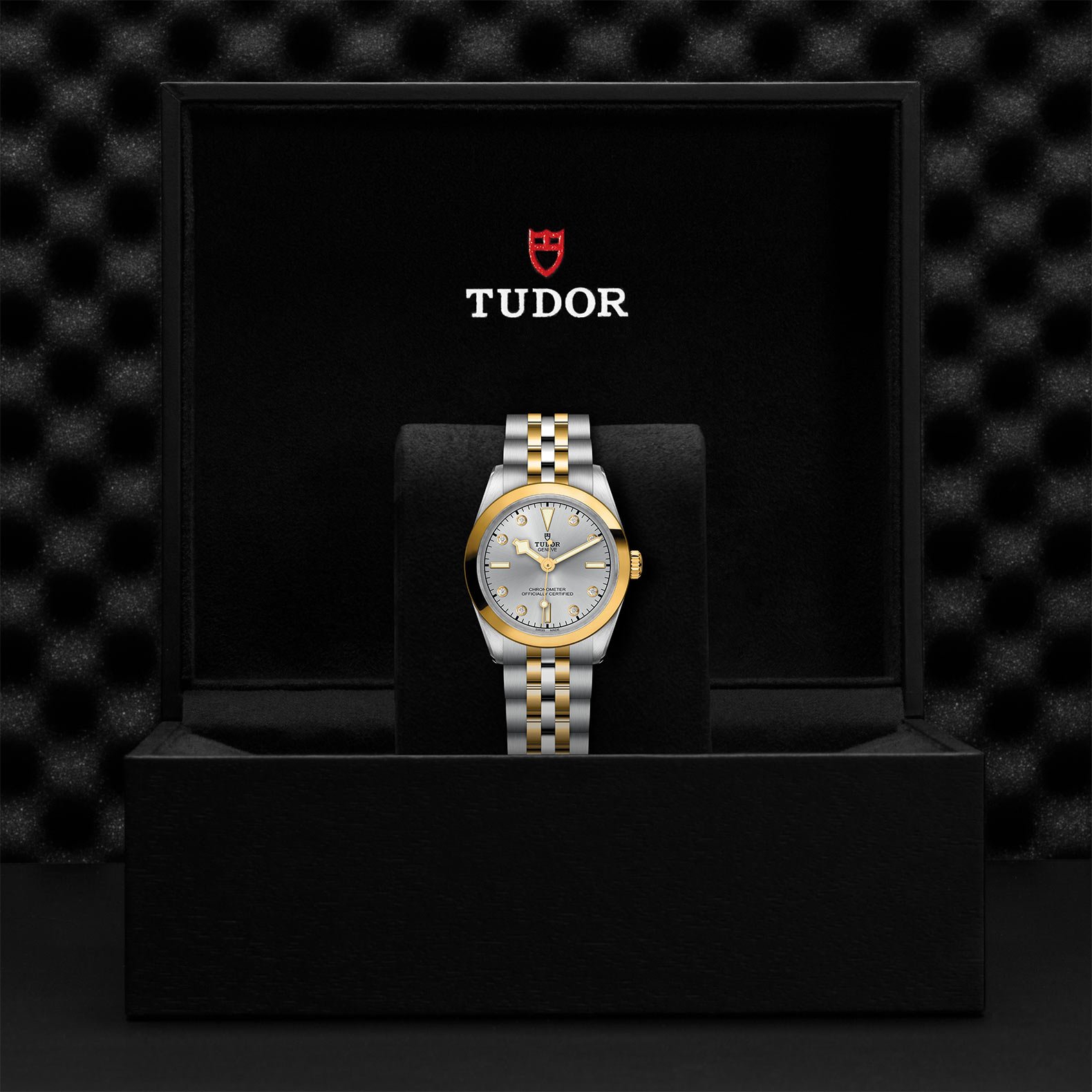 TUDOR Black Bay 31 S&G M79603-0007 - Image 2